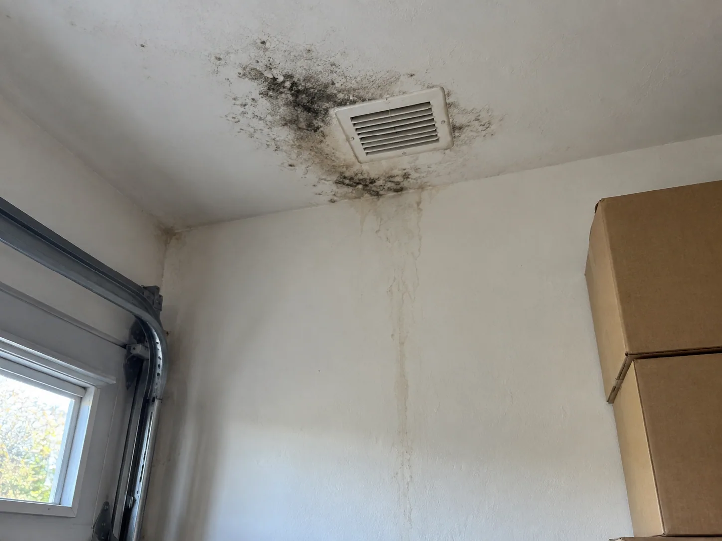 Mould spreading across a ceiling in a Dallas property